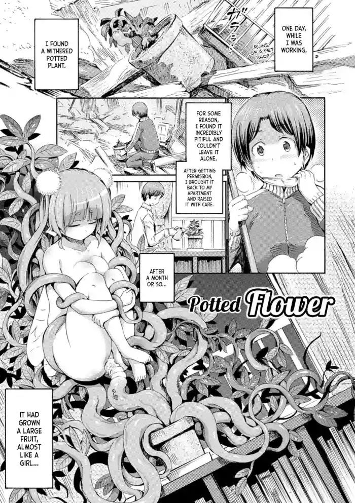 Hachi no Ue no Flower | Potted Flower cover