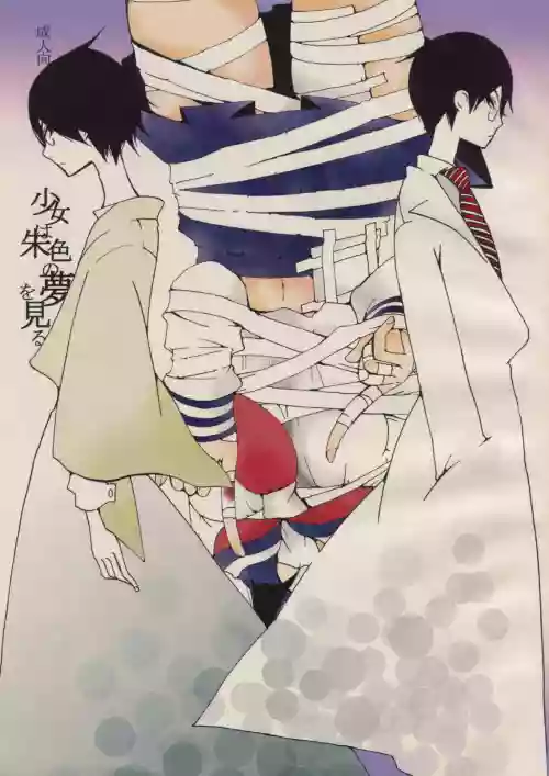 少女は朱色の夢を見る
