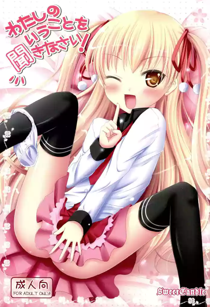 Watashi no Iu Koto o Kikinasai! cover