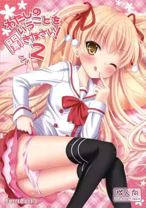 Watashi no Iu Koto o Kikinasai! 2