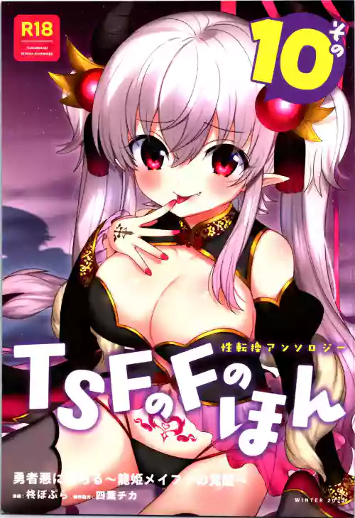 TSF no F no Hon Sono 10