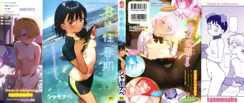 Kimi wa Seishunki - Dream in Adolescence