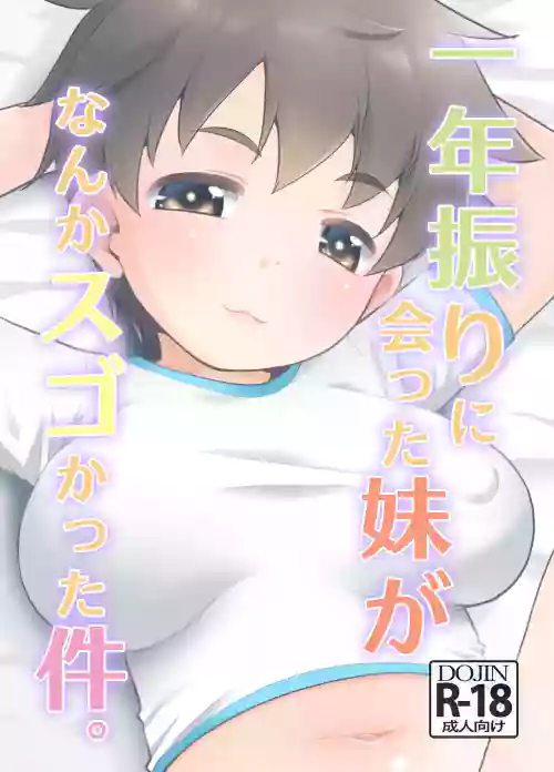 Ichinen-buri ni Atta Imouto ga Nanka Sugokatta Ken.