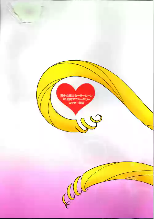 20th Anniversary Essay & Artbook