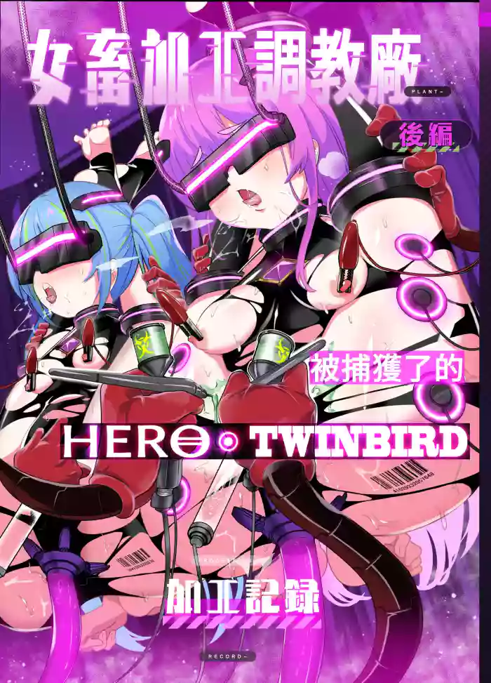 Jo Chiku Kako Plant Torawareta Hero Twin-Bird Kako Kiroku Kouhen | 女畜加工调教廠 被捕獲了的HERO・TWINBIRD加工記錄 後篇 cover