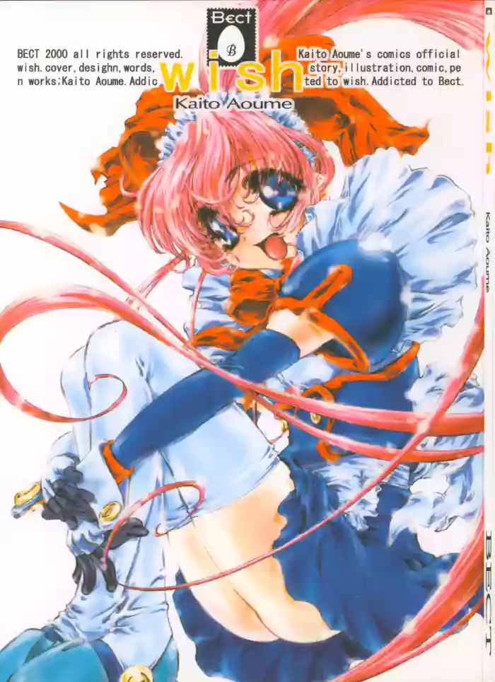 wish cover