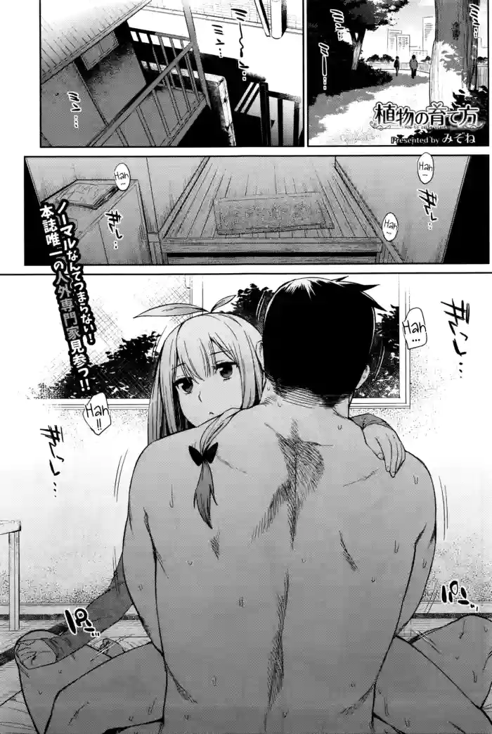 Shokubutsu no Sodatekata - How to raise plants cover