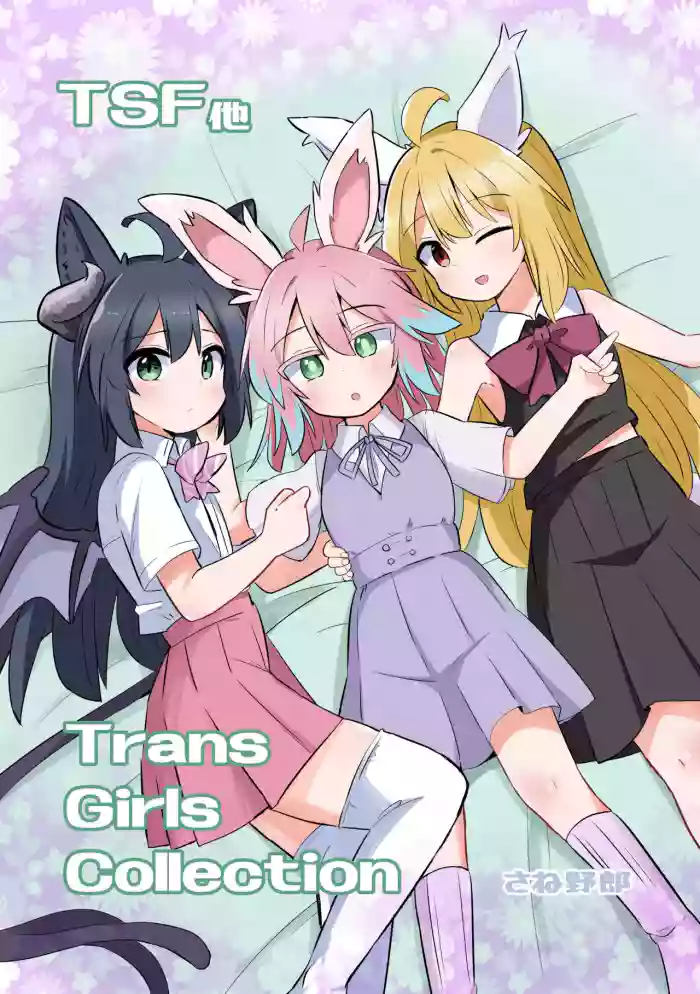 Trans Girls Collection cover