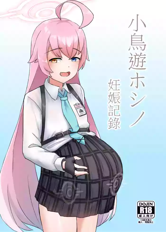 Takanashi Hoshino Ninshin Kiroku cover