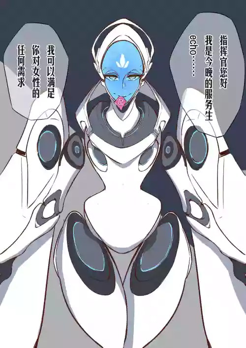 守望先锋ECHO