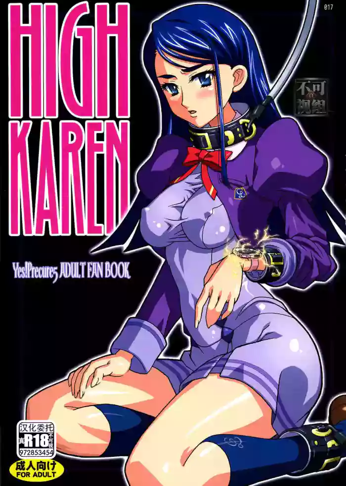 HIGH KAREN cover