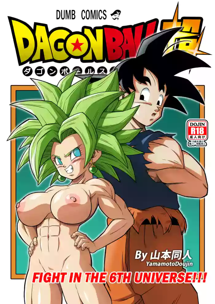 Fight in the 6th Universe! cover