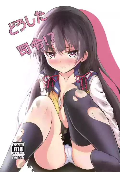 Doushita Shirei!? | What's Wrong, Admiral?!