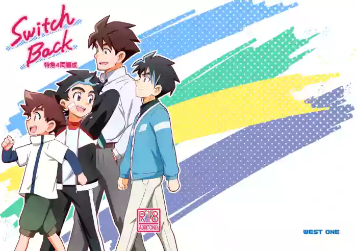 Switch Back cover