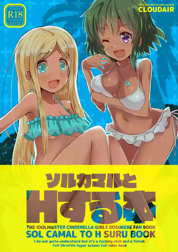 SOL CAMAL TO H SURU BOOK cover
