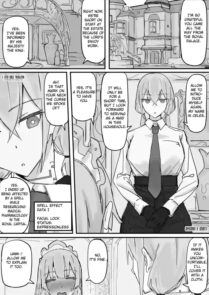 Kanjou Seigen Meido (Kari) ① cover