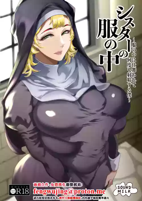 Sister no Fuku no Naka ~Fuku no Naka ni Shimawarete Nandomo Shasei suru Boku~