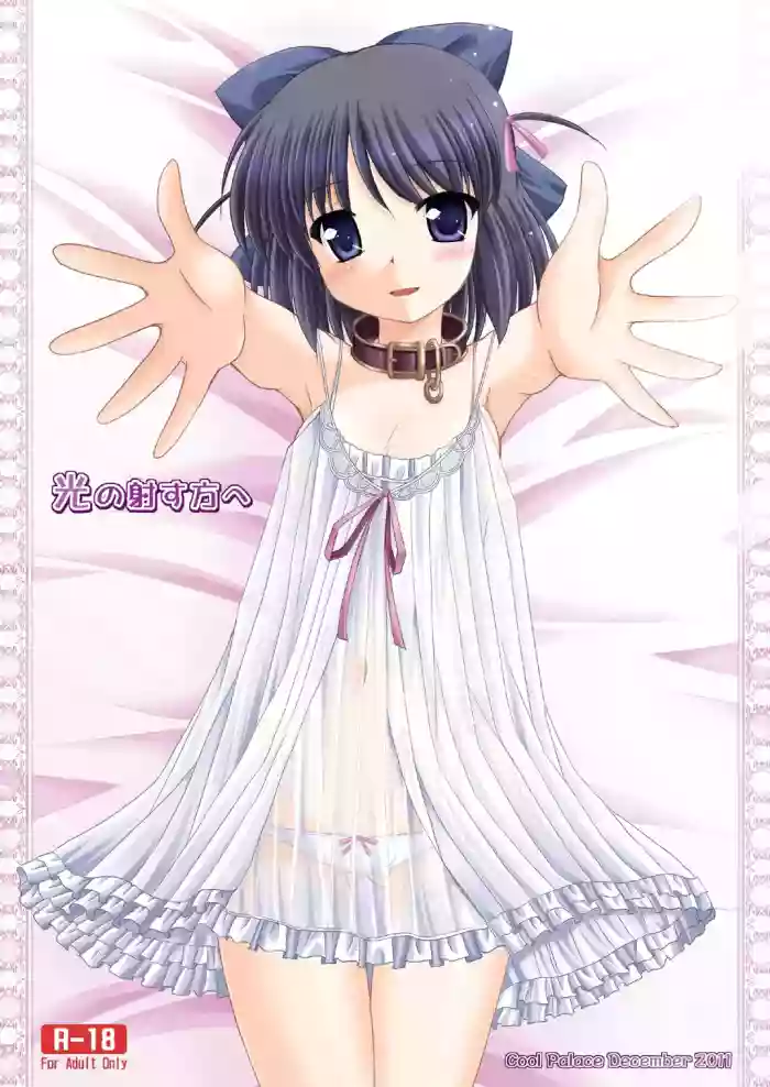 Hikari no Sasu Kata e cover