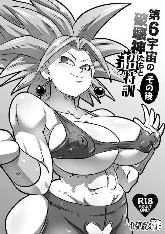 Dai 6 Uchuu no Hakaishin-tachi to Chou Tokkun Sonogo cover