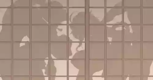 Takoku Goudou Chousa Team Inazuma
