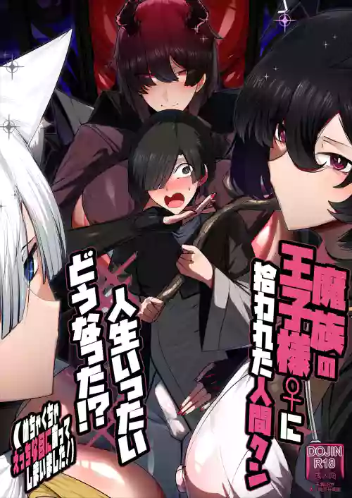 Mazoku no Ouji-sama ♀ ni Hirowareta Ningen-kun, Jinsei Ittai Dou Natta!? + Omake