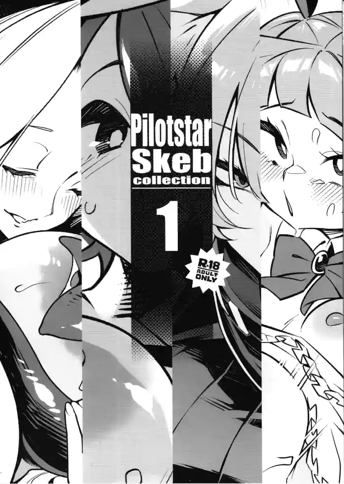 Pilotstar Skeb collection 1 cover