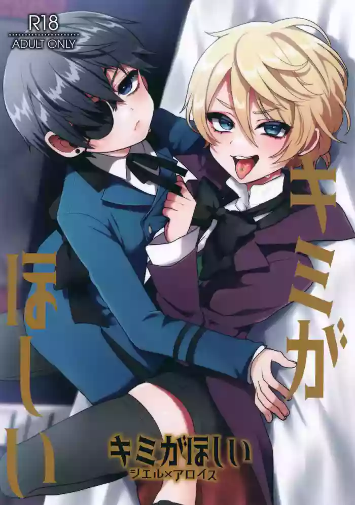 Kimi ga Hoshii cover