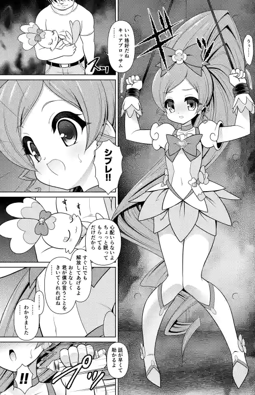 Cure Blossom Manga