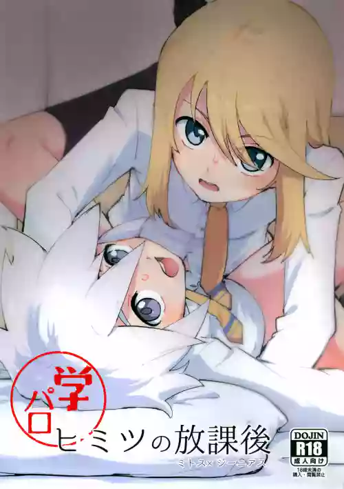 Himitsu no Houkago