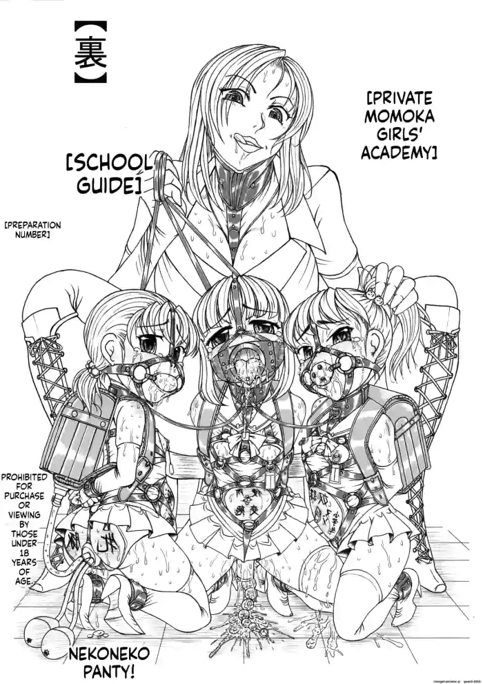 Private Momoka Girls' Academy: Behind-the-Scenes School Guide cover