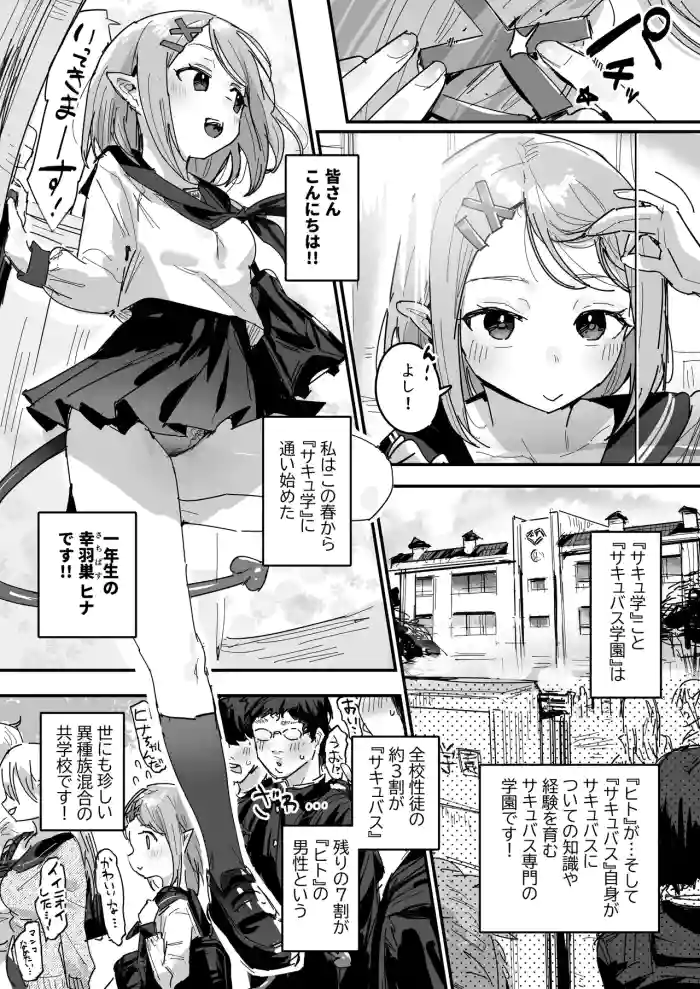 Succubus Gakuen cover