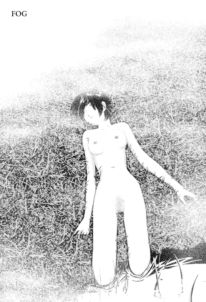 Kiri | Fog cover