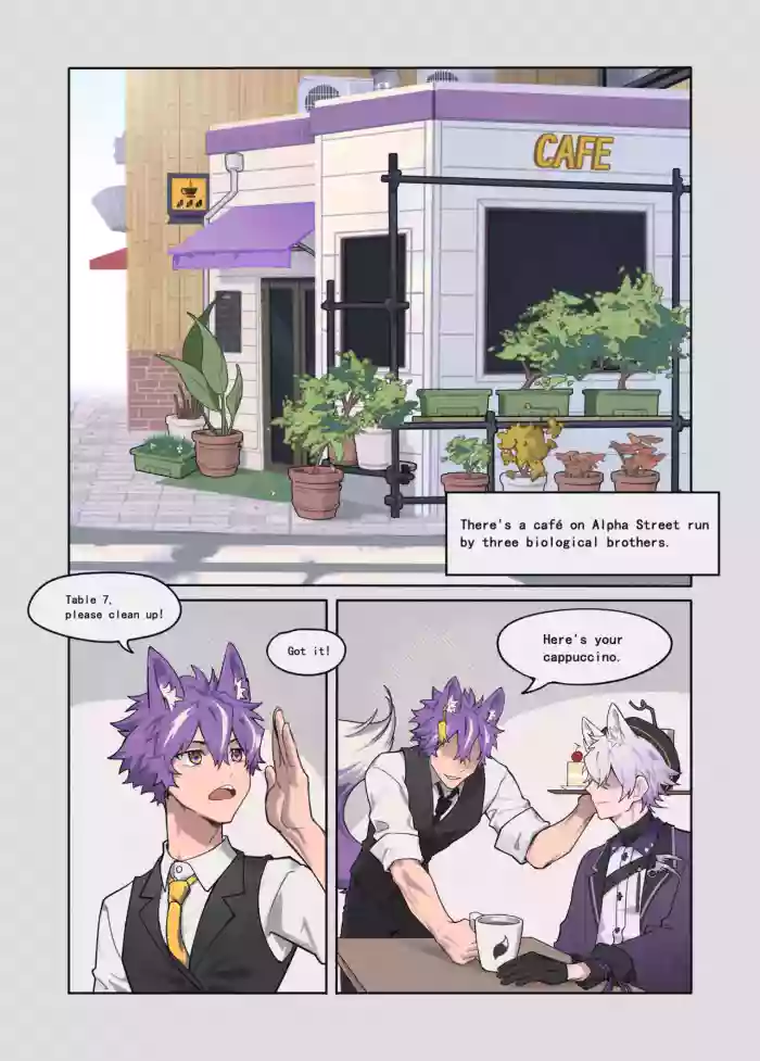 "Three Purple Fox Brothers" cover