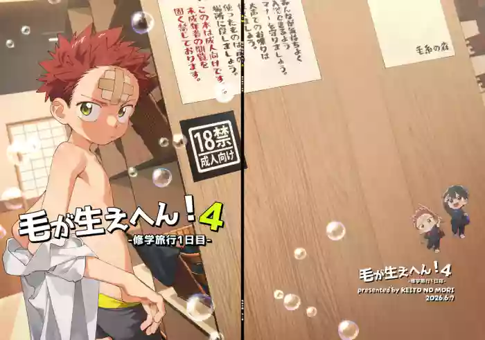 Ke ga Haehen! 4 cover