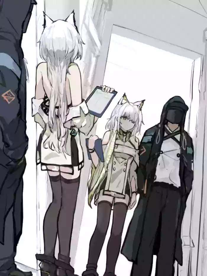 White palette Plss cover