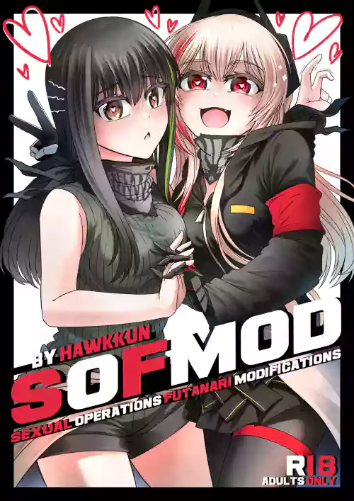 SOFMOD 1