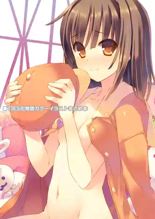 TIES Bakemonogatari Color Illustration Compilation Book