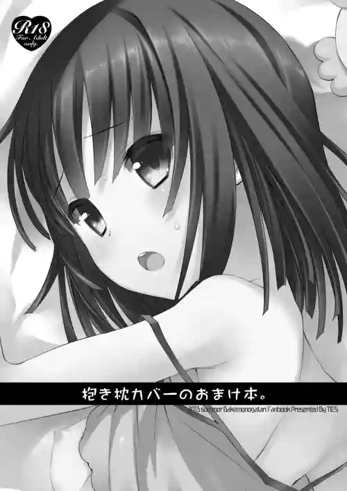 Dakimakura Cover no Omake Hon