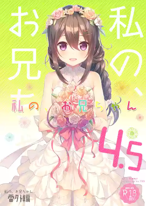 Watashi no, Onii-chan 4.5 -Bangaihen-