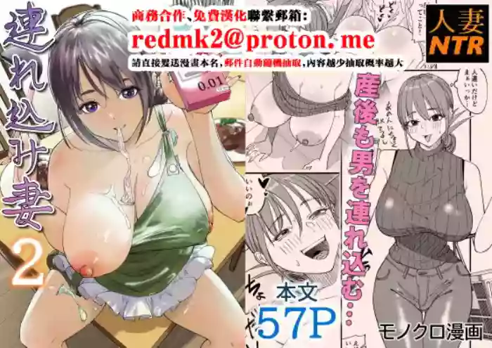 Tsurekomi Tsuma 2 cover