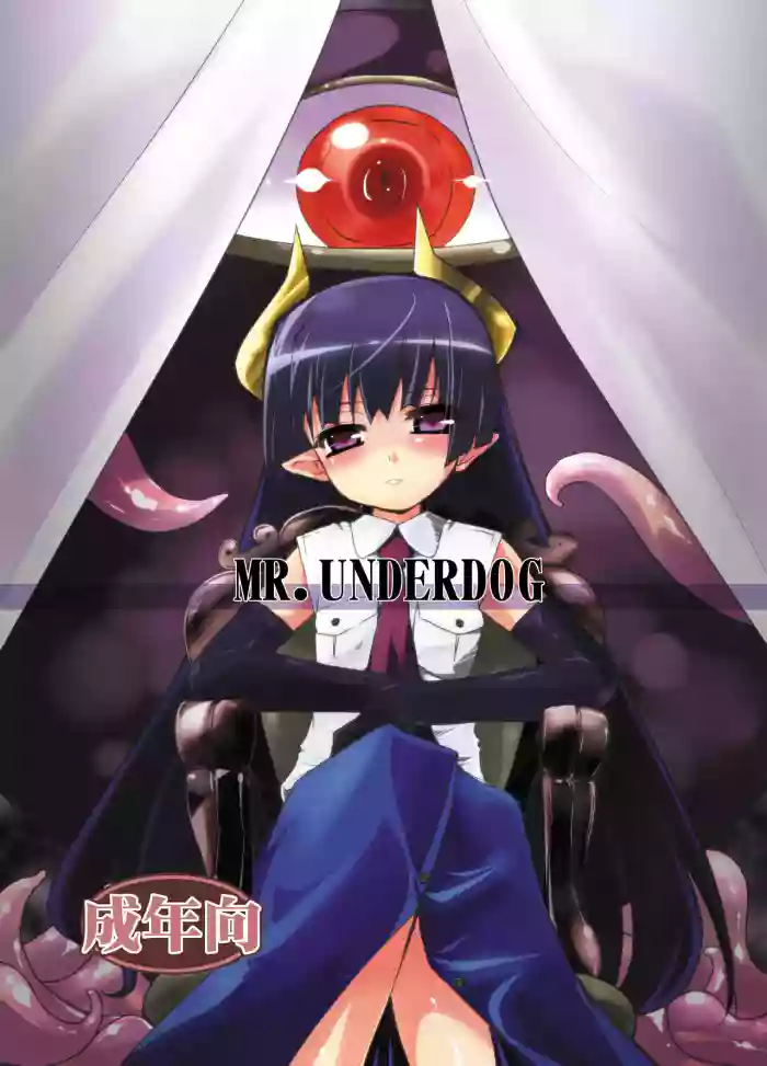 MR.UNDERDOG cover