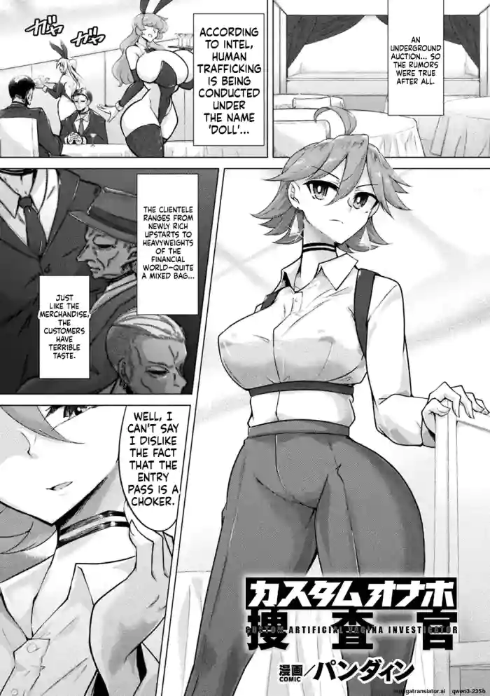 Custom Onahole Investigator - cover