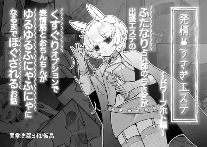 Hatsujo usagi esute ~ dowafuhoto-hen ~ cover