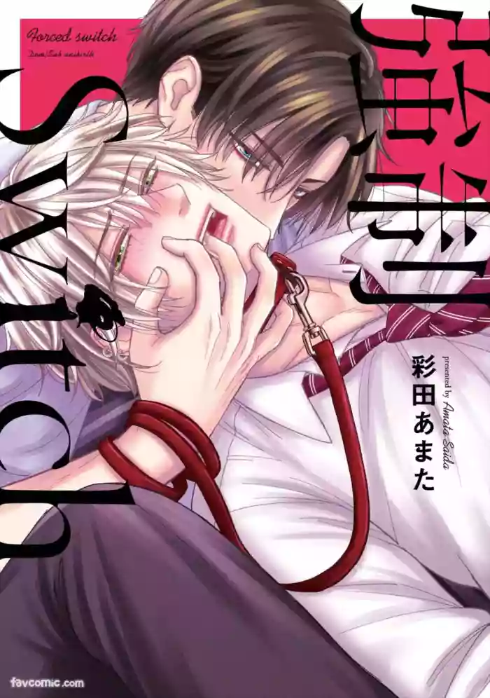 Kyousei Switch︱强制Switch cover