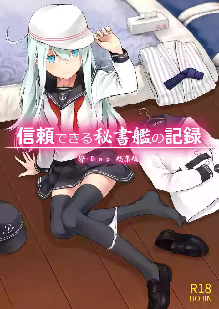 Shinrai Dekiru Hishokan no Kiroku Hibiki Bep Soushuuhen cover