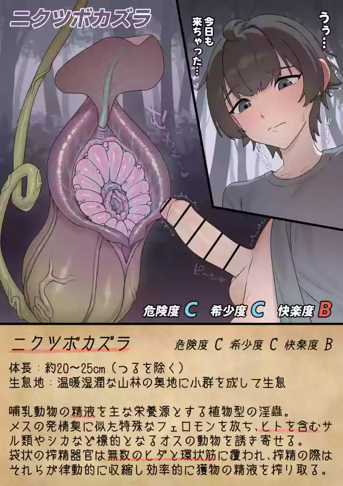 ［nyarome］淫蟲図鑑vol.02 ニクツボカズラ cover