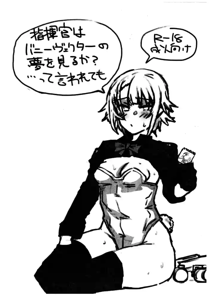 Shikikan wa Bunny Vector no Yume o Miru ka... tte Iwaretemo cover