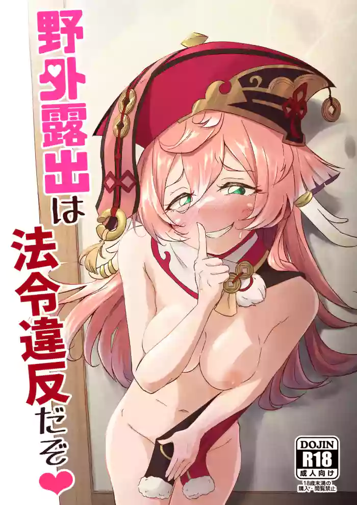 Yagai Roshutsu wa Hourei Ihan da zo cover