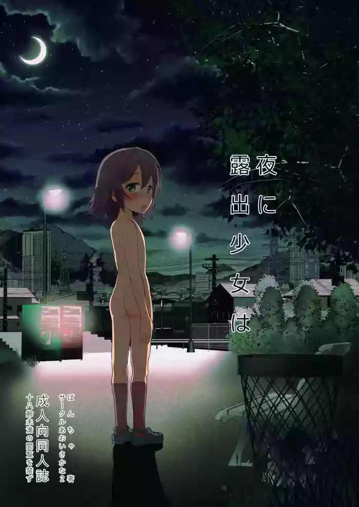 Yoru ni Roshutsu Shoujo wa cover