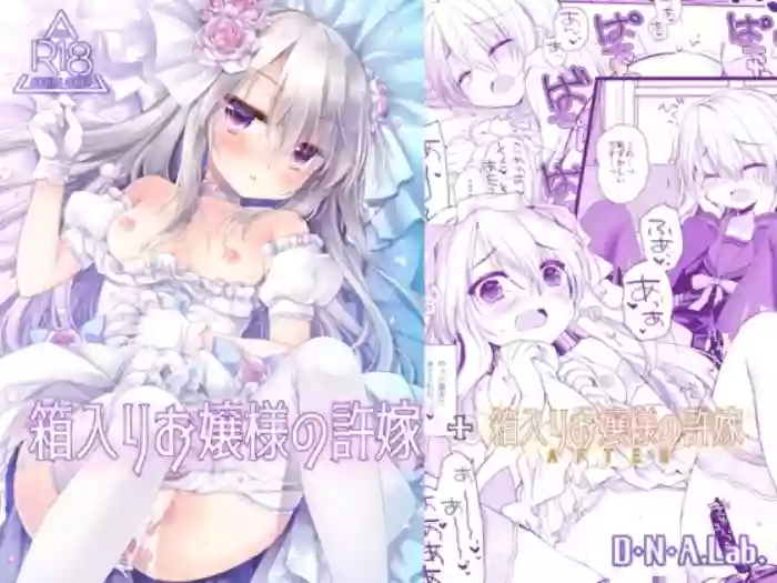 Hakoiri Ojou-sama no Iinazuke + After cover